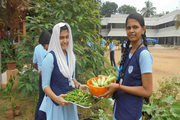 Mahatma Central School-Vegetable Garden